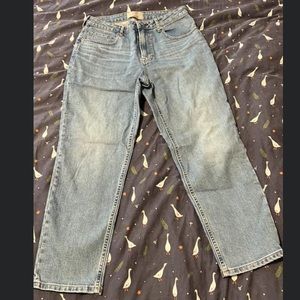 Everlane curvy cheeky jean